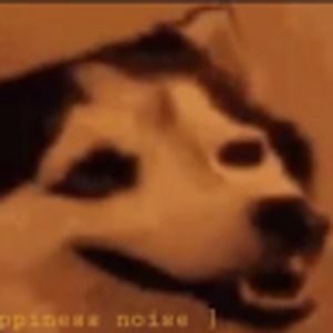 Meet your Posher, Andre